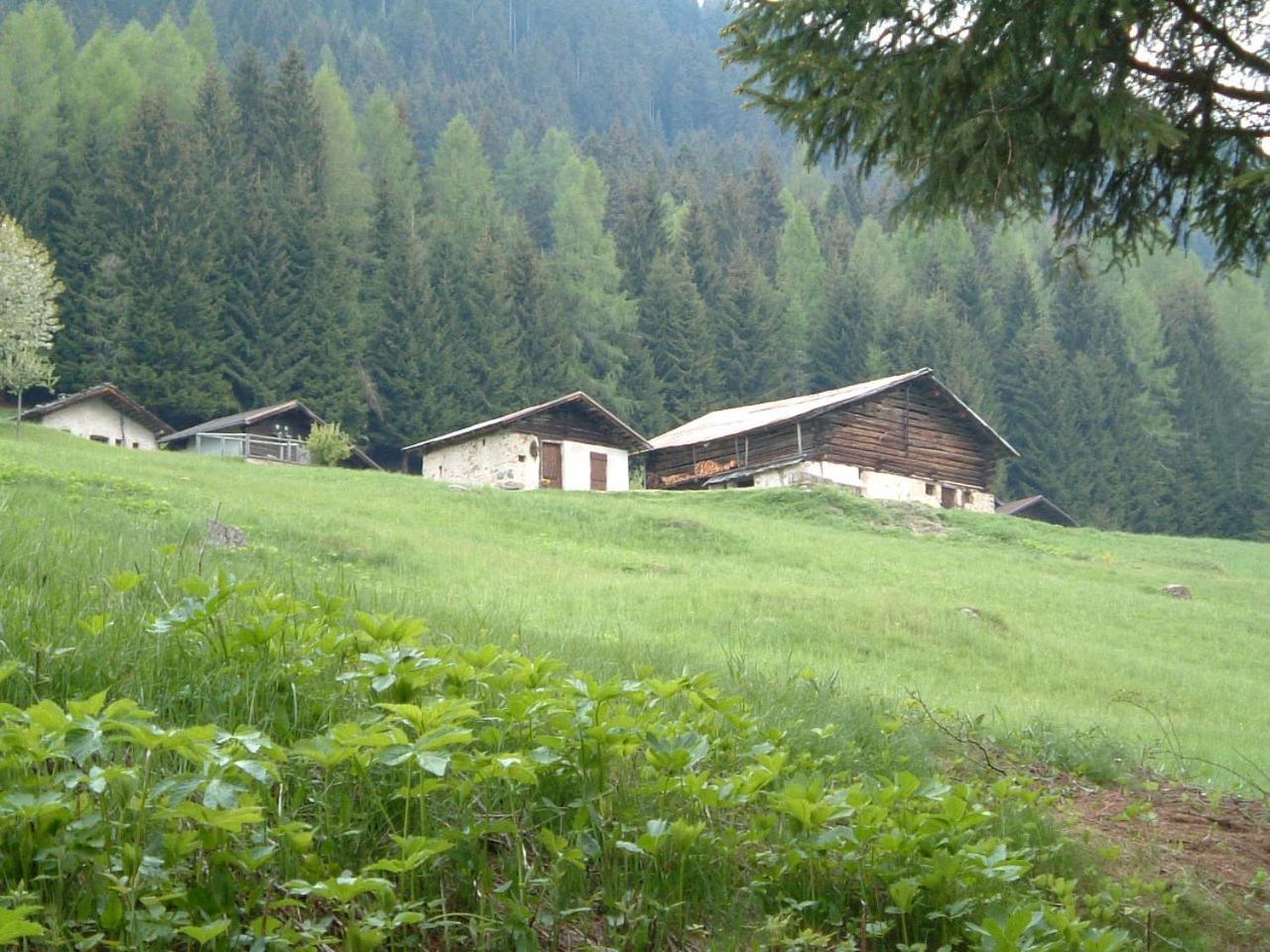 Chalet Nel Doch Villa Cheia Canal San Bovo Exterior photo