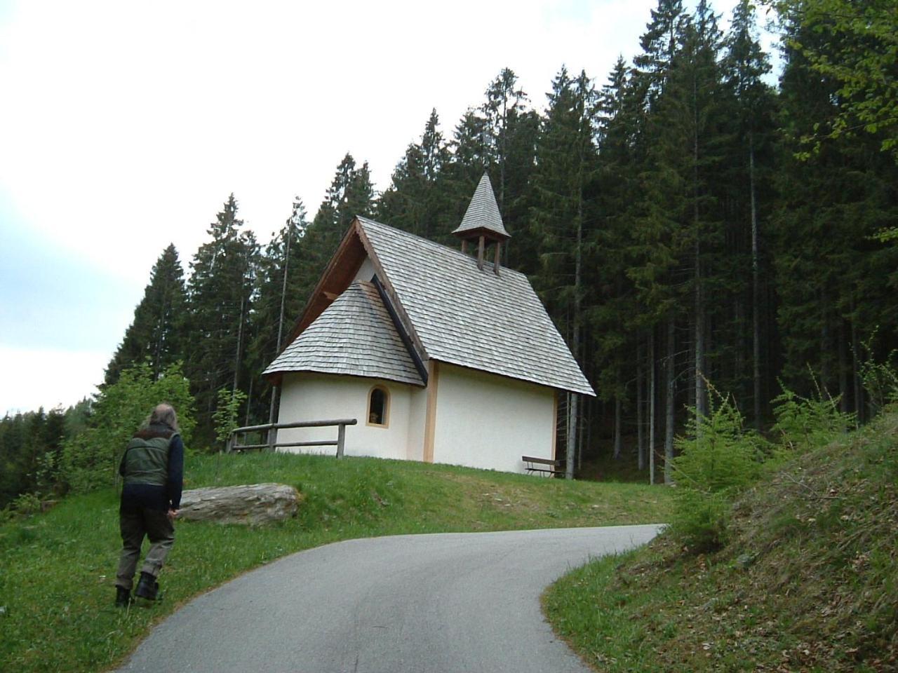 Chalet Nel Doch Villa Cheia Canal San Bovo Exterior photo